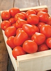 Intermarché Contact Saint-Julien-Chapteuil - Promo Tomate Allongée Promo Tomate Allongée à 1,99 € dans le catalogue Intermarché Contact à Saint-Julien-Chapteuil