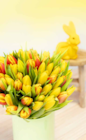 Tulpen im aktuellen Pflanzen Kölle Prospekt für 6,99 €