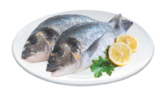 Dorade Angebote bei EDEKA Seevetal für 2,29 €