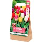 Promo Bulbes de tulipe à 2,49 € dans le catalogue Action à Saint-Estève