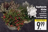 Bepflanzte Körbe von  im aktuellen EDEKA Prospekt für 9,99 €