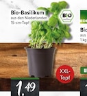 EDEKA Wuppertal - Bio-Basilikum Angebot im Prospekt Bio-Basilikum bei EDEKA im Wuppertal Prospekt für 1,49 €