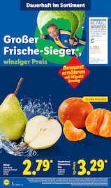 Obst im Lidl Prospekt in Leipzig Aktueller Lidl Prospekt mit Obst, "LIDL LOHNT SICH", Seite 2