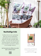 Aktueller Moubis Pflanzenhof Prospekt mit Gartenerde, "Bring Schwung in dein Zuhause", Seite 23