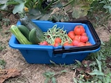 Gamm vert Mirande - Promo Panier de récolte Promo Panier de récolte à 9,99 € dans le catalogue Gamm vert à Mirande
