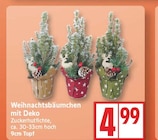 Weihnachtsbäumchen mit Deko für 4,99 € bei EDEKA im Angebot Weihnachtsbäumchen mit Deko im aktuellen EDEKA Prospekt