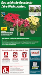 toom Baumarkt Pflanzen im Prospekt 
