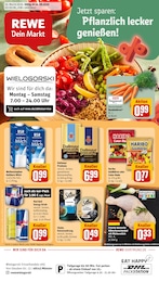 REWE Prospekt "Dein Markt" mit 24 Seiten (Münster)