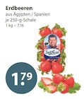 Erdbeeren von SanLucar im aktuellen V-Markt Prospekt für 1,79 €
