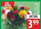 Rosen für 3,99 € bei EDEKA im Angebot Rosen im aktuellen EDEKA Prospekt