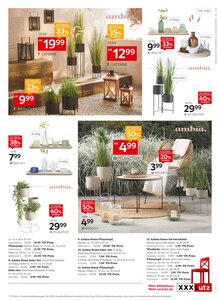 Blumentopf im XXXLutz Möbelhäuser Prospekt "STEAK Wochen" mit 12 Seiten (Heidelberg)