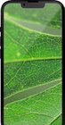 iPhone 13 im Angebot bei expert TeVi in Schwabach iPhone 13 Angebote bei expert TeVi Schwabach für 1,00 €