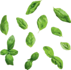 Aktuelles Mozzarella Angebot bei Lidl in Frankfurt (Main) ab 5,99 €