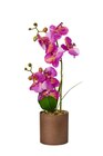 Orchidée artificielle - Carrefour à Limoges Orchidée artificielle en promo chez Carrefour Limoges à 14,99 €