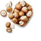 Aktuelles Kultur-champignons, braun Angebot bei Kaufland in Wuppertal ab 1,79 €