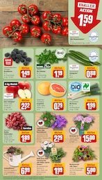 REWE Salat im Prospekt 