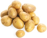 Bio Speisekartoffeln Angebote von REWE Bio bei REWE Ludwigshafen für 1,69 €