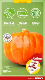 Hokkaidokürbis Angebot & Preis im aktuellen Penny Prospekt Hokkaidokürbis Angebot im aktuellen Penny Prospekt auf Seite 41