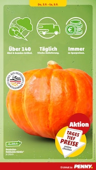 Hokkaidokürbis Angebot im Penny Prospekt, gültig von 31.08.2026 bis 05.09.2026 Hokkaidokürbis Angebot im aktuellen Penny Prospekt auf Seite 41