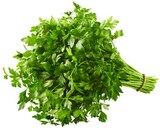 Glatte Petersilie im Angebot bei REWE in Magdeburg Glatte Petersilie Angebote von Großbund bei REWE Magdeburg für 1,19 €