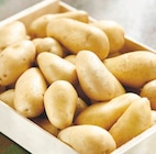 Intermarché Super Séné - Promo Pommes de terre de consommation Promo Pommes de terre de consommation à 3,99 € dans le catalogue Intermarché Super à Séné