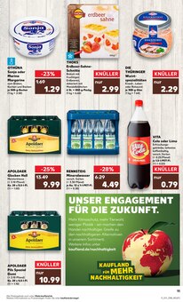 Cola im Kaufland Prospekt "Aktuelle Angebote" mit 44 Seiten (Erfurt)