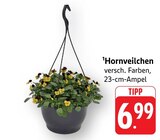 Hornveilchen Angebote bei EDEKA Baden-Baden für 6,99 €