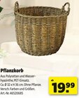 Hagebaumarkt Bad Sooden-Allendorf Prospekt mit  im Angebot für 19,99 €
