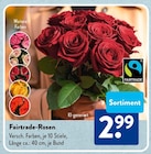 Fairtrade-Rosen von Fairtrade im aktuellen ALDI SÜD Prospekt für 2,99 €