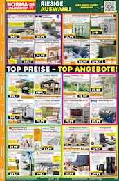 Norma Gartenbrause im Prospekt 