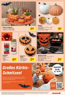 Pflanzen im aktuellen toom Baumarkt Prospekt (Jena) Pflanzen im toom Baumarkt Prospekt "Respekt, wer's selber macht." mit 26 Seiten (Jena)