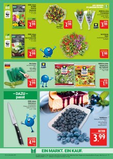 Salat im Marktkauf Prospekt "AUSWAHL RIESIG, PREISE NIEDRIG" mit 44 Seiten (Leipzig)