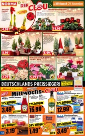 Pflanzen im Norma Prospekt in Offenburg Aktueller Norma Prospekt mit Pflanzen, "Mehr fürs Geld", Seite 12