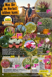 Pflanzerde Angebot & Preis im aktuellen Hornbach Prospekt Pflanzerde Angebot im aktuellen Hornbach Prospekt auf Seite 14