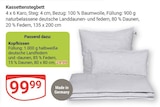 Kassettenstegbett bei GLOBUS im Zwickau Prospekt für 24,99 €