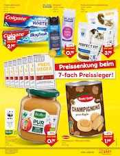 Katzenfutter im Netto Marken-Discount Prospekt in Fulda Aktueller Netto Marken-Discount Prospekt mit Katzenfutter, "Aktuelle Angebote", Seite 7