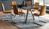 Schwingstuhl im Angebot bei Opti-Wohnwelt in Cuxhaven Schwingstuhl Angebote von VENJAKOB bei Opti-Wohnwelt Cuxhaven für 259,00 €