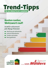 Mölders Baucentrum Prospekt für Reppenstedt: "Trend-Tipps FÜR DIE ENERGETISCHE SANIERUNG", 11 Seiten, 14.02.2025 - 23.02.2025