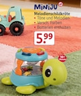 Melodienschildkröte von Miniju im aktuellen Rossmann Prospekt für 5,99 €