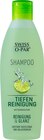 Shampoo Tiefenreinigung im Angebot bei dm-drogerie markt in Velbert Shampoo Tiefenreinigung Angebote von Swiss-o-Par bei dm-drogerie markt Velbert für 2,45 €