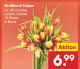 Großbund Tulpen im Angebot bei Netto Marken-Discount in Bochum Großbund Tulpen Angebote bei Netto Marken-Discount Bochum für 6,99 €