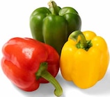 Bio Paprika-Mix Angebote bei GLOBUS Braunschweig