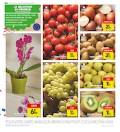 Promos Plante Verte dans le catalogue "L'ANNIVERSAIRE SURPRISE !" de Supeco à la page 2