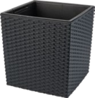 Aktuelle Blumentopf Angebote bei Kaufland in Solingen (Klingenstadt) Aktuelles Pflanzgefäß Angebot bei Kaufland in Solingen (Klingenstadt) ab 8,99 €