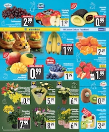 Gartenbepflanzung im EDEKA Prospekt "Wir lieben Lebensmittel." auf Seite 2