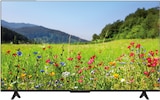 LED-TV 55P69K im Angebot bei expert in Lutherstadt Wittenberg LED-TV 55P69K Angebote von TCL bei expert Lutherstadt Wittenberg für 222,00 €
