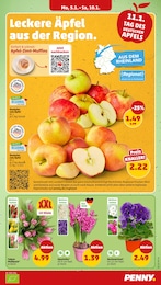 Orangen Angebot im aktuellen Penny Prospekt auf Seite 5