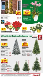 Aktueller toom Baumarkt Prospekt mit Lichterkette, "Respekt, wer's selber macht.", Seite 5