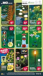 Deko Leuchtturm Angebot & Preis im aktuellen Netto mit dem Scottie Prospekt Deko Leuchtturm Angebot im aktuellen Netto mit dem Scottie Prospekt auf Seite 24