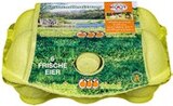 Aktuelles Frische Eier Angebot bei Kaufland in Potsdam ab 1,79 €
